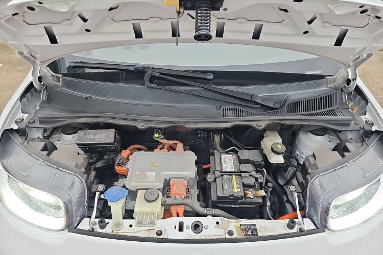 Used ORA White Cat 2020 305 km Luxury Version
