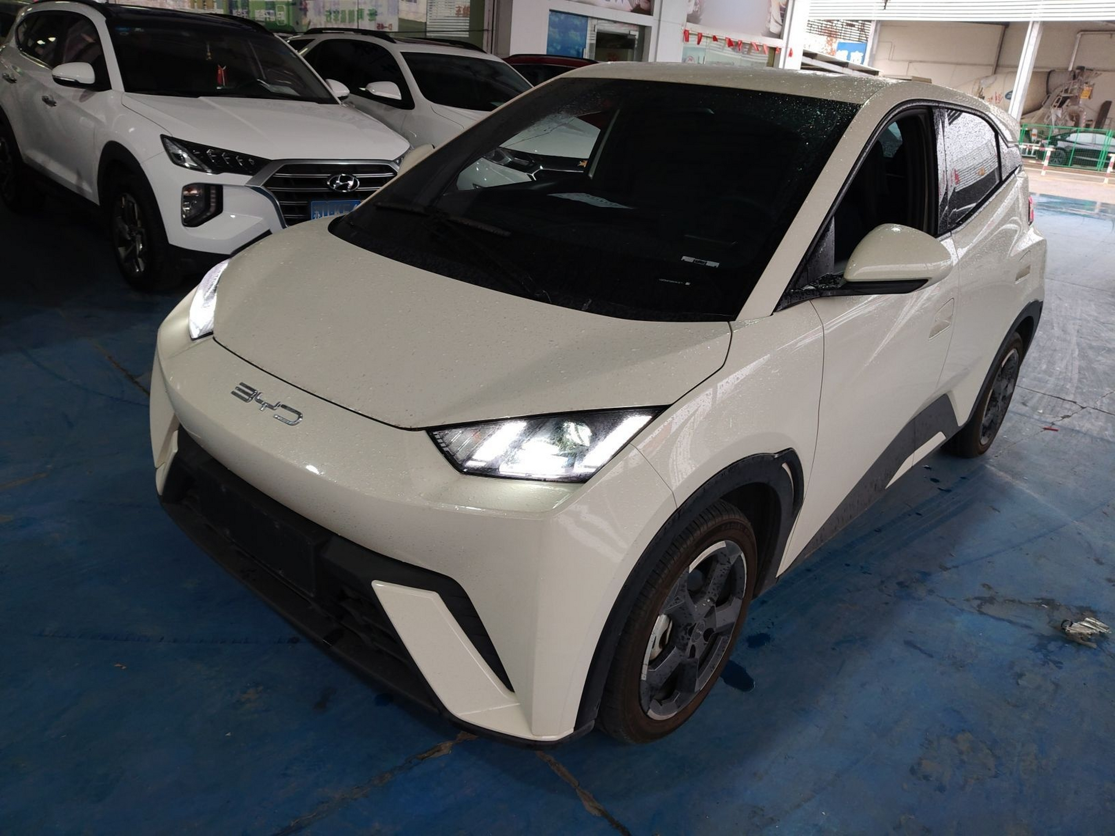 تحت مقدمة السيارة