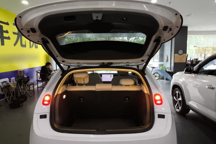 Used firefly firefly 2025 Illuminated Edition
