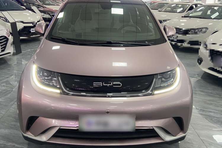 Used BYD Dolphin 2021 405 km Fashion Edition
