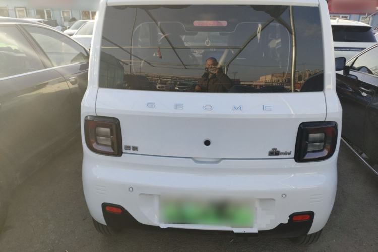 Used  Panda 2024 Panda Mini 200km Longteng PRO Edition
