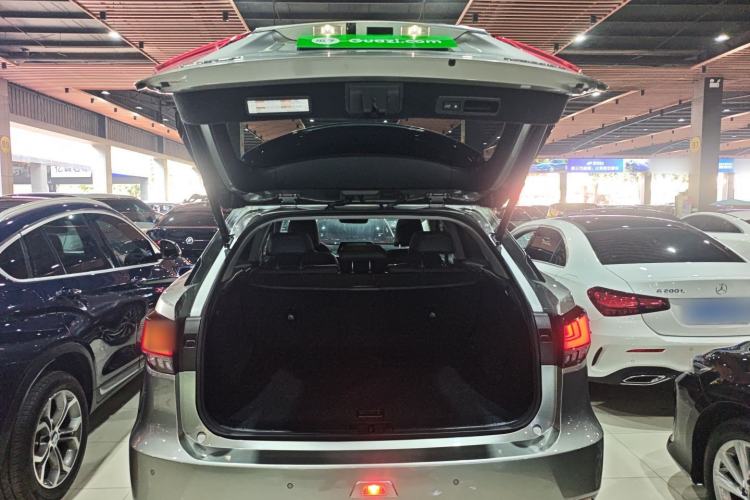 Used Lexus RX 2020 Revised Version 300 Two-Wheel Drive Comfort Edition
