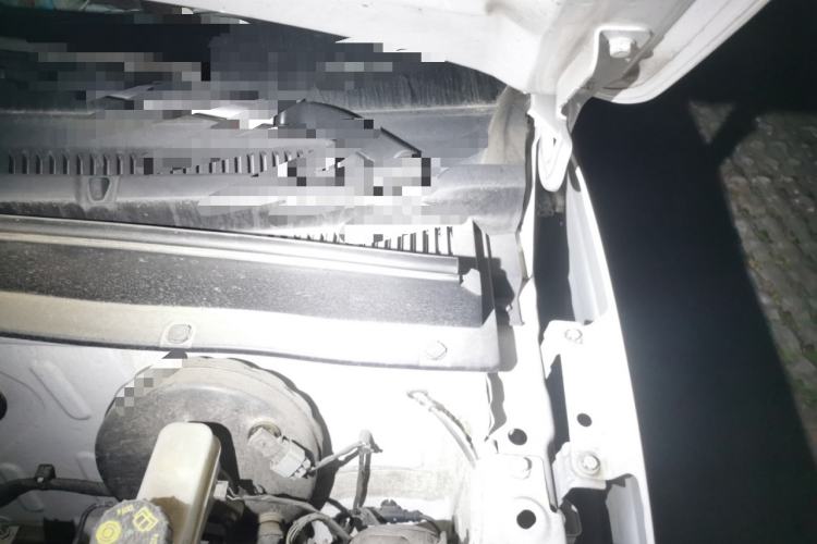 Used  Panda 2023 Panda Mini 200km Endurance Bear
