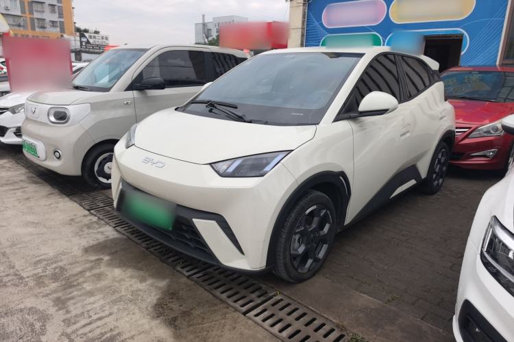 Used BYD Seagull 2025 305 km Free Version
