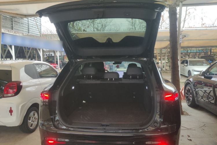 Used VOYAH COURAGE 2024 Four-Wheel Drive Global Edition
