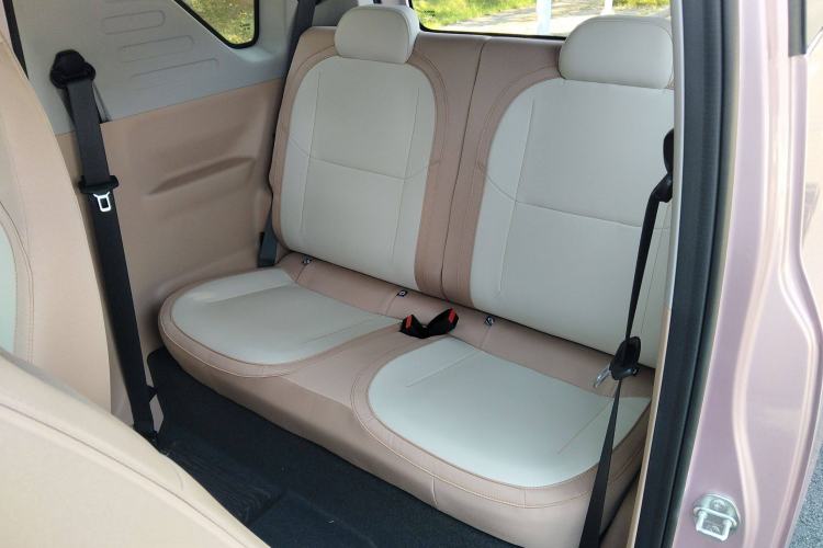 Used  Panda 2024 Panda Mini 200km Endurance Bear
