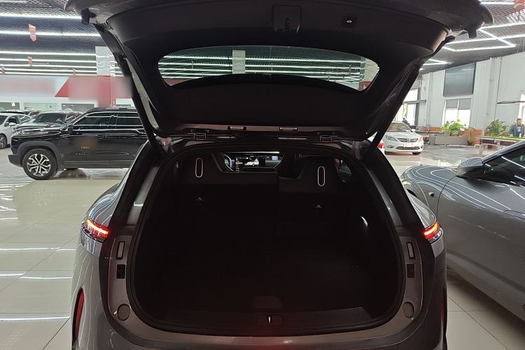 Used  07 2024 Max Extended-Range Edition
