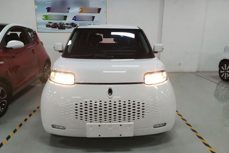 Used ORA White Cat 2020 305 km Luxury Version

