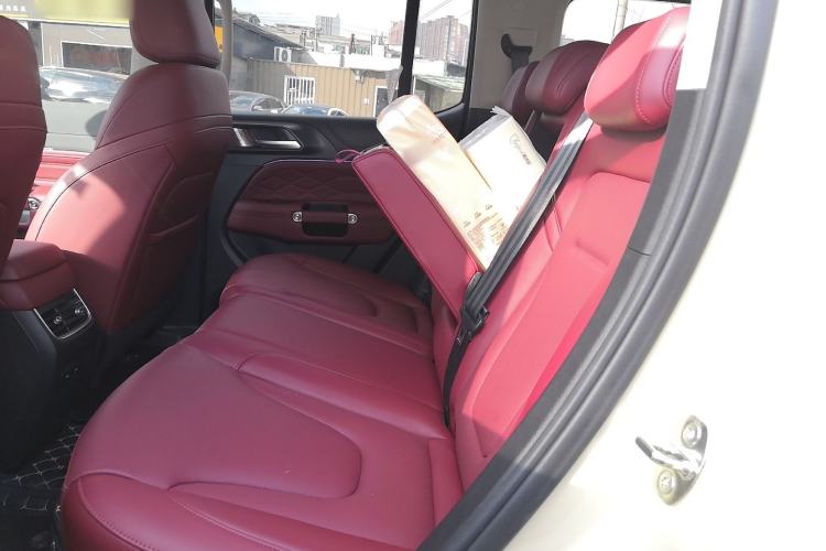 Used Tank 300 New Energy 2025 Hi4-T
