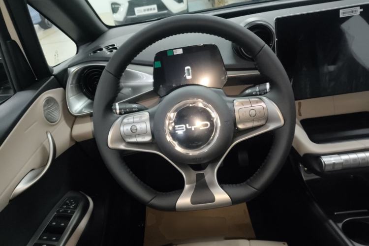 Used BYD Dolphin 2025 420km Free Edition
