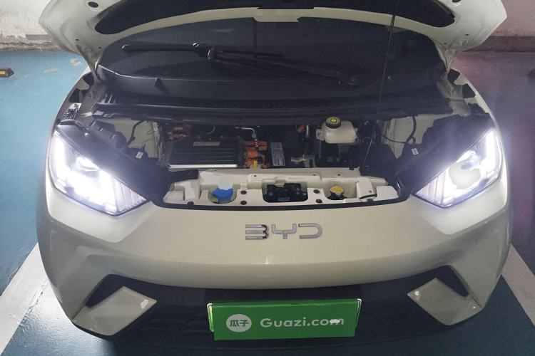 Used BYD Seagull 2025 305 km Free Version
