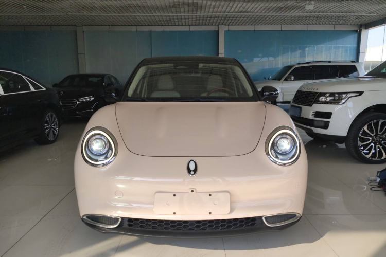 Used ORA Good Cat 2021 400km Standard Range Venus Edition Lithium-Ion Battery
