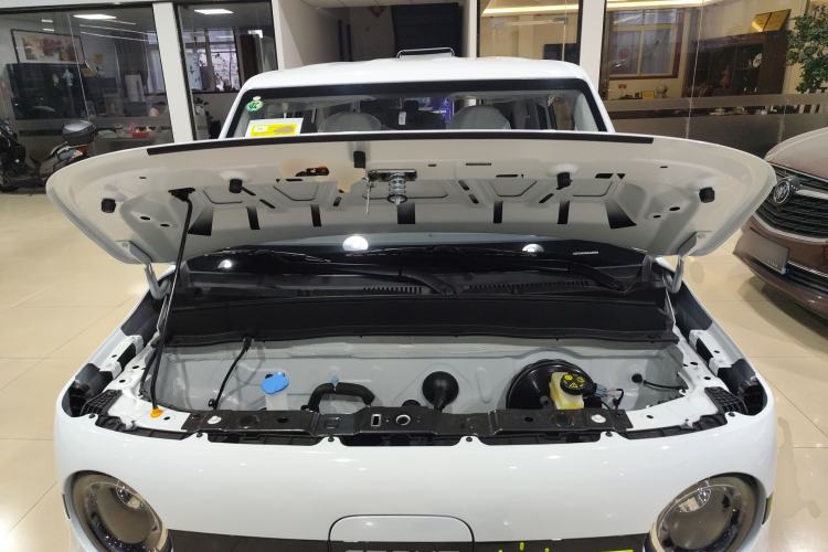 Used  Panda 2025 210 km – Yuanqi Bear
