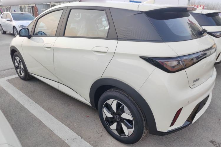 Used BYD Dolphin 2025 420km Free Edition
