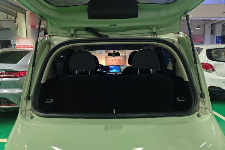 Used ORA White Cat 2020 305 km Luxury Version
