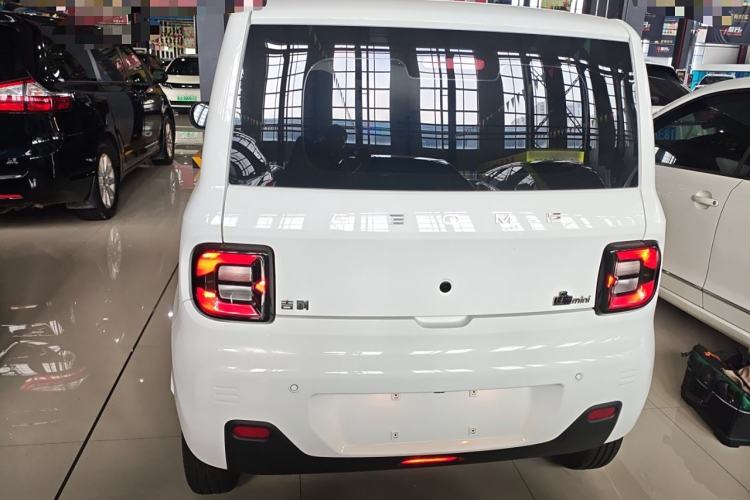 Used  Panda 2023 Panda Mini 200km Endurance Bear
