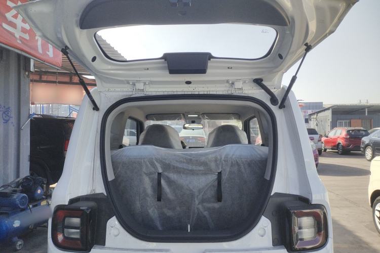 Used  Panda 2024 Panda Mini 200km Endurance Bear
