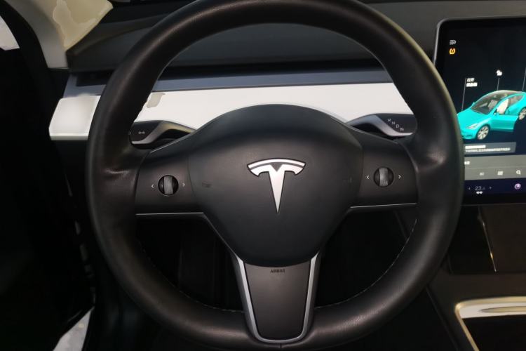 Used Tesla Model Y 2021 Standard Range Rear-Wheel Drive Version
