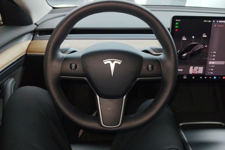 Used Tesla Model 3 2022 Rear-Wheel-Drive Version
