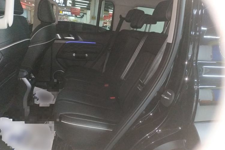 Used Tank 300 2024 2.0T Conqueror