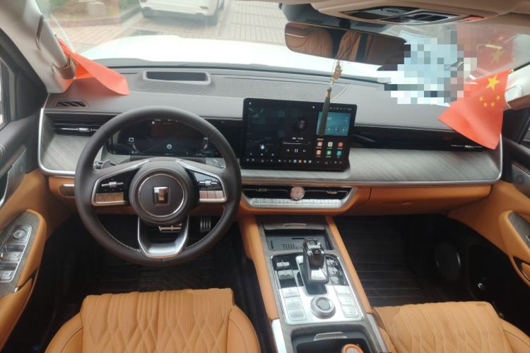 Used Tank 500 New Energy 2024 Hi4-T
