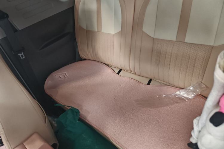 Used  Panda 2023 Panda Mini 200km Endurance Bear
