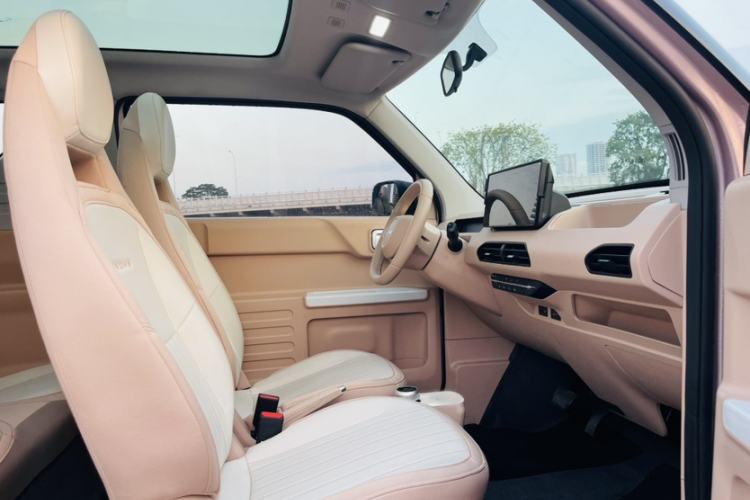 Used  Panda 2023 Panda Mini 200km Dynamic Bear