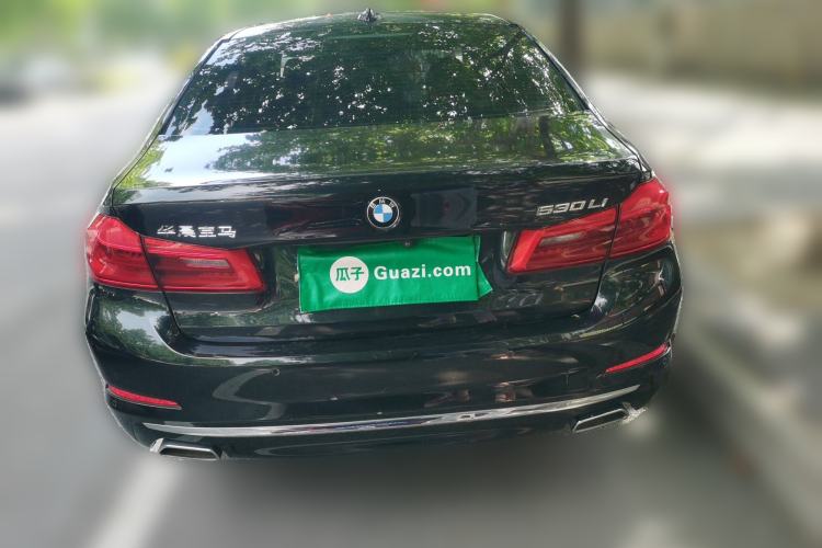 Used BMW 5 Series 2020 530Li Leading Edition Luxury Package