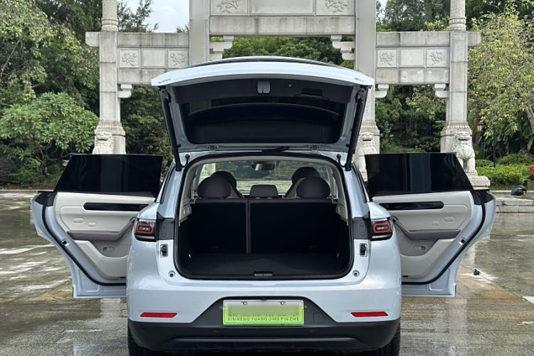 Used Leapmotor C11 2023 Pure Electric 500 Comfort Edition
