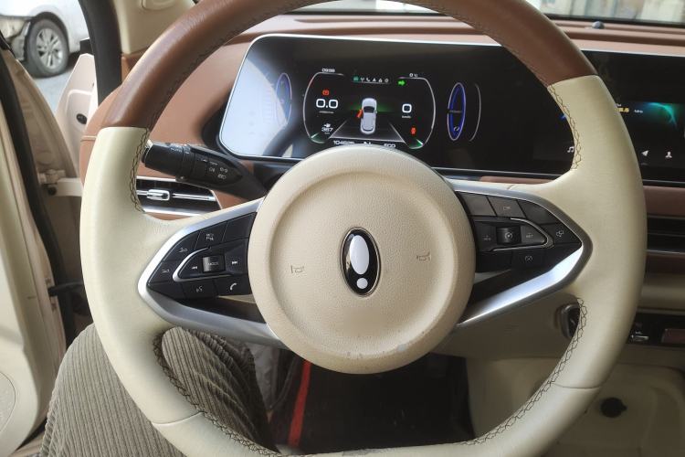 Used ORA Good Cat 2022 400km Standard Range Luxury Version Lithium Iron Phosphate