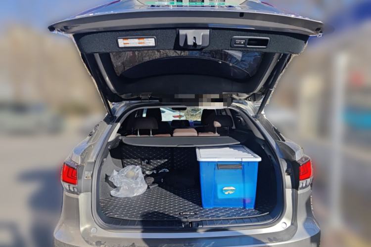 Used Lexus RX 2020 300 4x4 Elegant Edition China VI