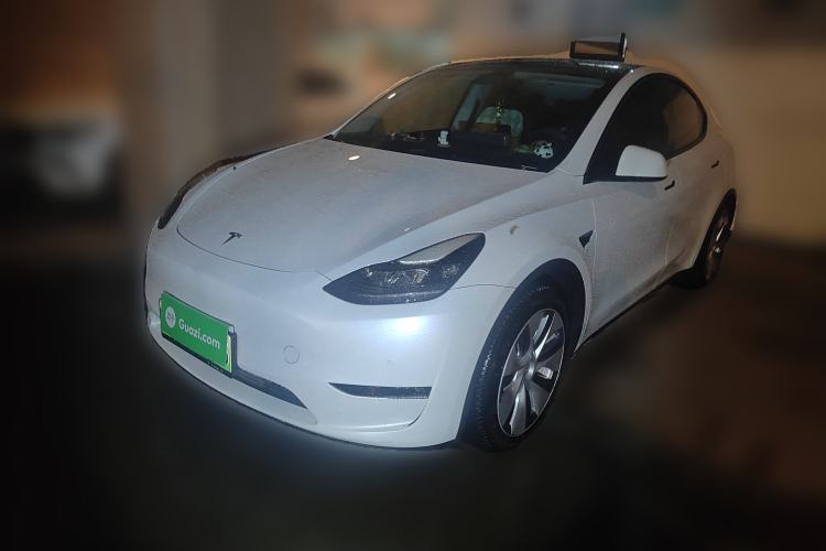 Used Tesla Model Y 2021 Standard Range Rear-Wheel Drive Version
