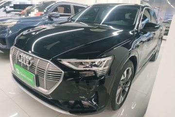 Used Audi e-tron 2019 55 quattro Technology Edition