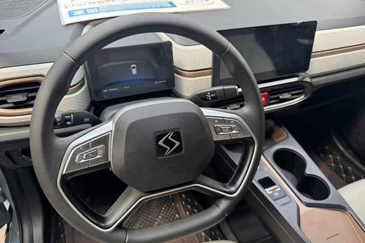 Used SOL E10X 2022 Flower Fairy Design Four-Leaf Clover
