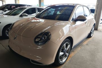 Used ORA Good Cat 2023 401 km Standard Range Luxury Version Lithium Iron Phosphate