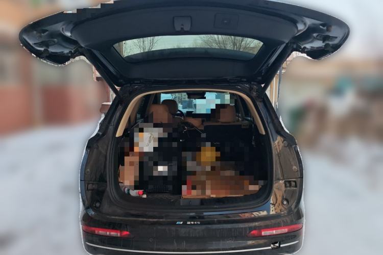 Used  E5 PLUS 2025 165 km Long-Range Version Pro 7-Seater