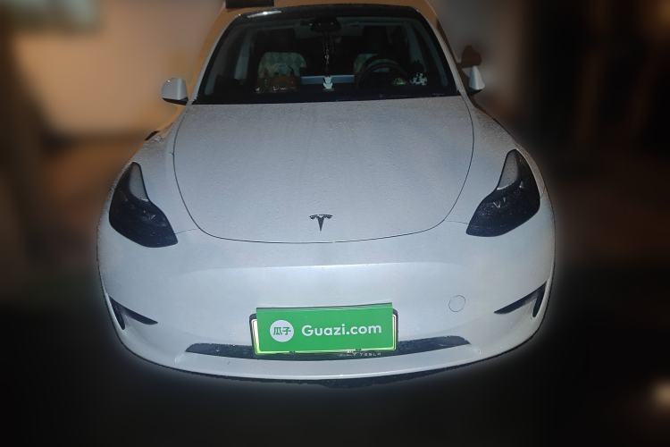 Used Tesla Model Y 2021 Standard Range Rear-Wheel Drive Version
