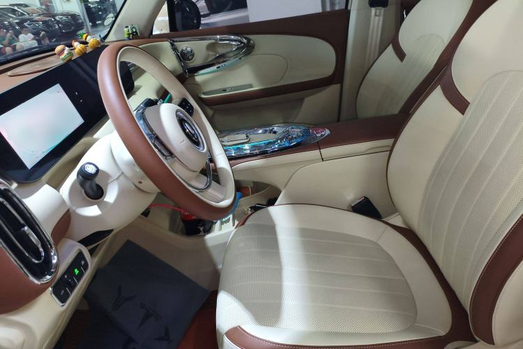 Used ORA Ballet Cat 2023 401 km Luxury Version
