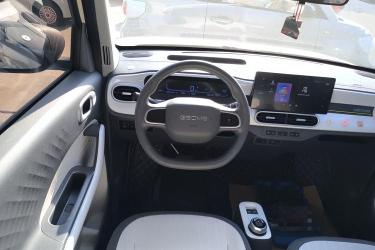 Used  Panda 2025 210 km – Yuanqi Bear