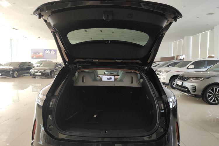 Used  07 2024 Max Extended-Range Edition
