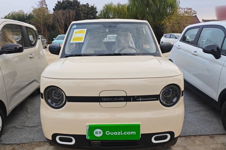 Used  Panda 2025 210 km – Yuanqi Bear