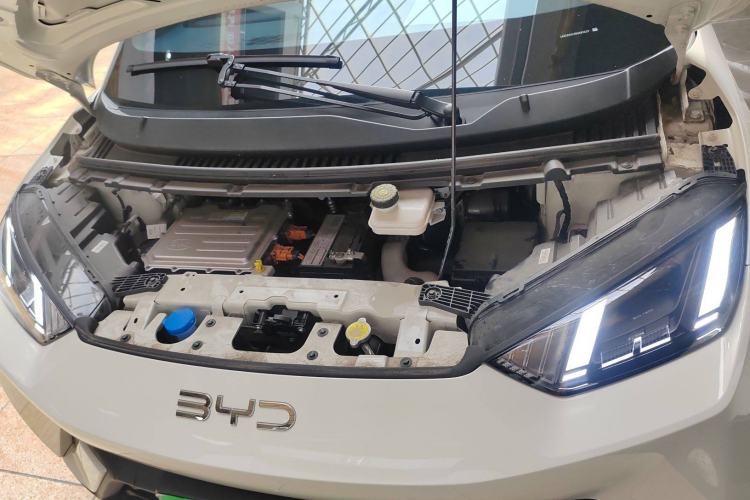 Used BYD Seagull 2025 305 km Free Version
