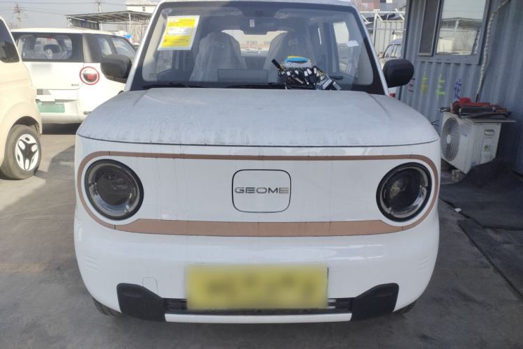 Used  Panda 2024 Panda Mini 200km Endurance Bear
