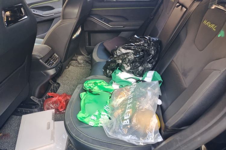 Used Haval H6S 2022 2.0T Two-Wheel Drive JoyRun Version
