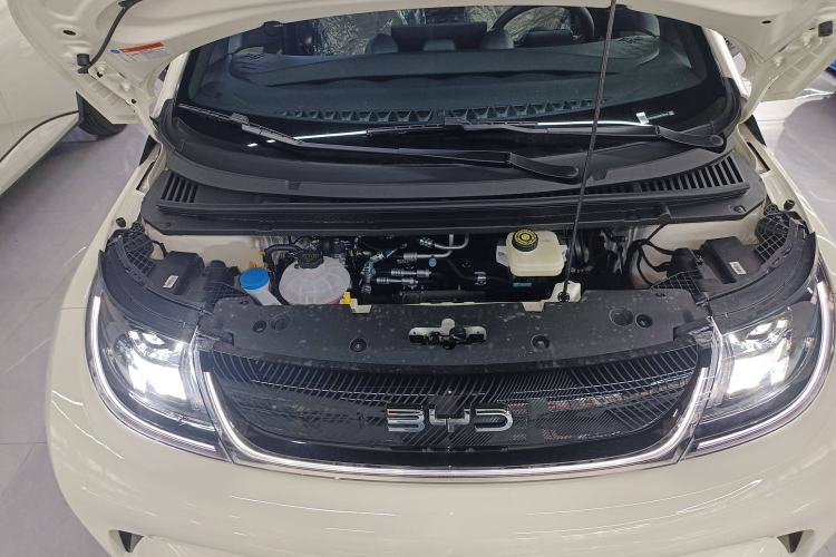 Used BYD Dolphin 2025 420km Free Edition
