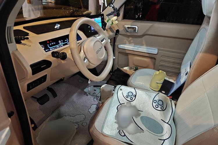 Used  Panda 2024 Panda Mini 200km Endurance Bear
