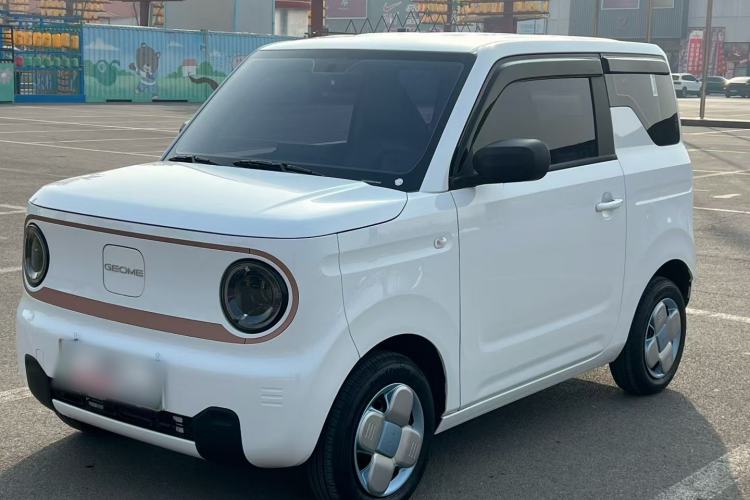 Used  Panda 2024 Panda Mini 200km Endurance Bear