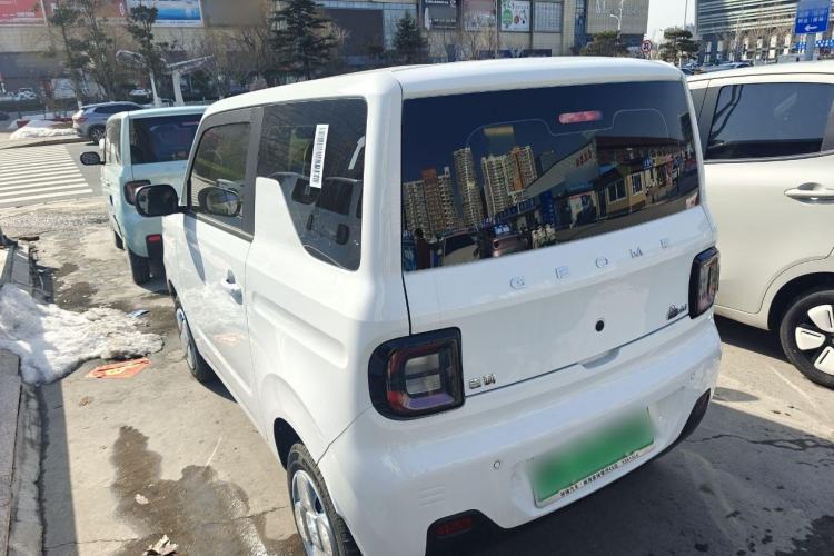 Used  Panda 2024 Panda Mini 200km Endurance Bear
