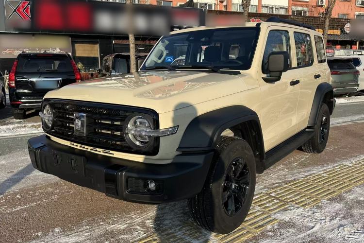 Used Tank 300 2025 2.4T Diesel Version