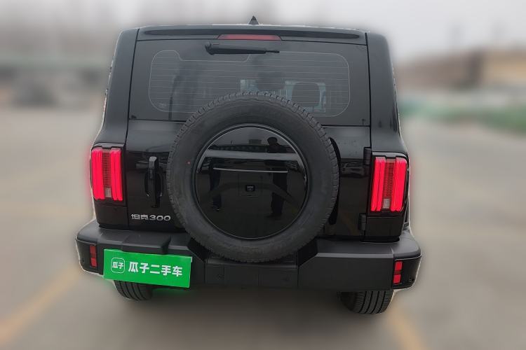 Used Tank 300 2024 2.0T Crosser